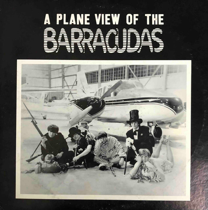 The Barracudas - A plane view of the Barracudas