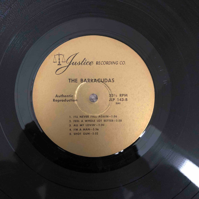 The Barracudas - A plane view of the Barracudas