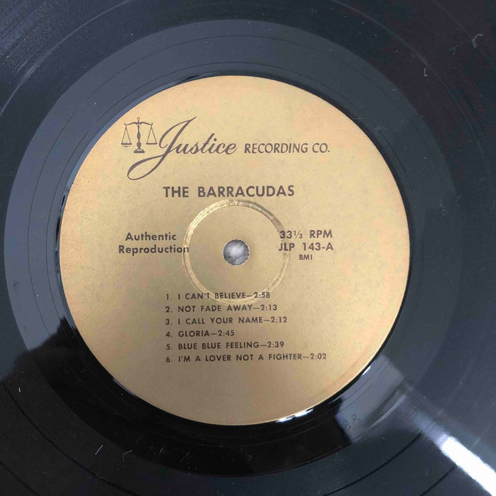 The Barracudas - A plane view of the Barracudas