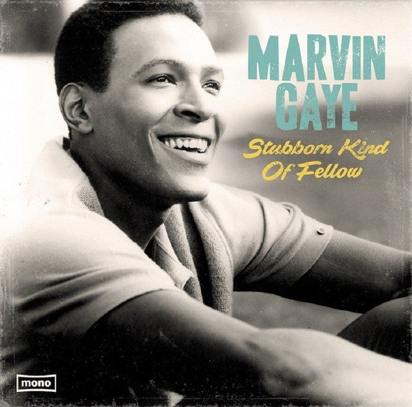 Marvin Gaye - Stubborn Kind of Fellow (Mint)