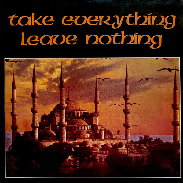 Take Everything Leave Nothing - Various (2LP-Near MInt)