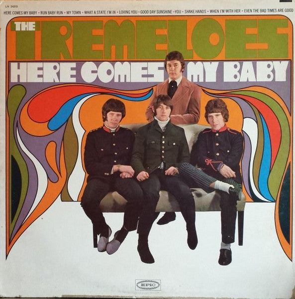 The Tremeloes - Here Comes My Baby
