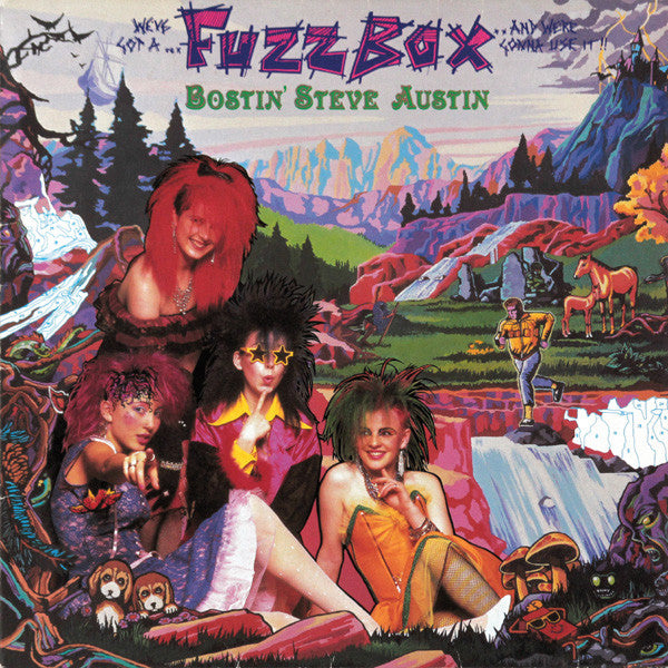 We've Got A Fuzzbox And We're Gonna Use It - Bostin' Steve Austin (Near Mint)