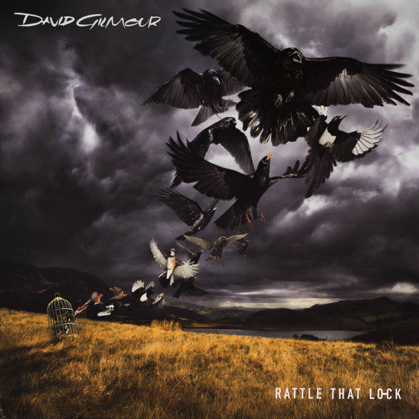 David Gilmour - Rattle that lock (NEW)
