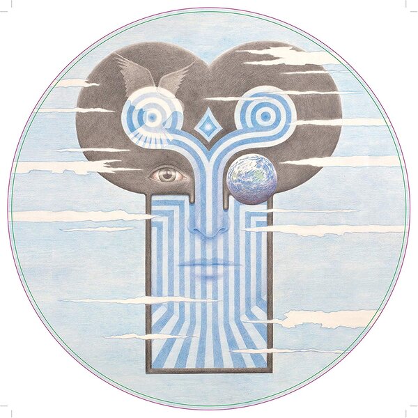 Chameleons - What does anything mean? Basically (Picture Disc-NEW)