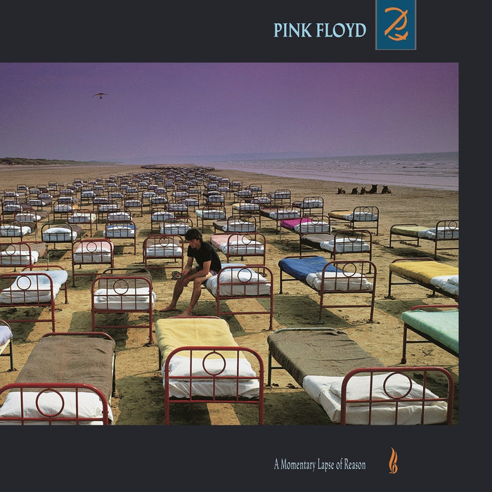 Pink Floyd - A Momentary Lapse Of Reason (South Africa)