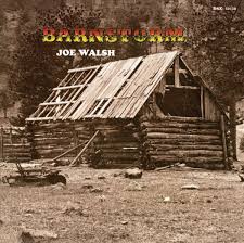 Joe Walsh - Branstorm - Dear Vinyl
