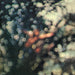 Pink Floyd - Obscured by clouds - Dear Vinyl