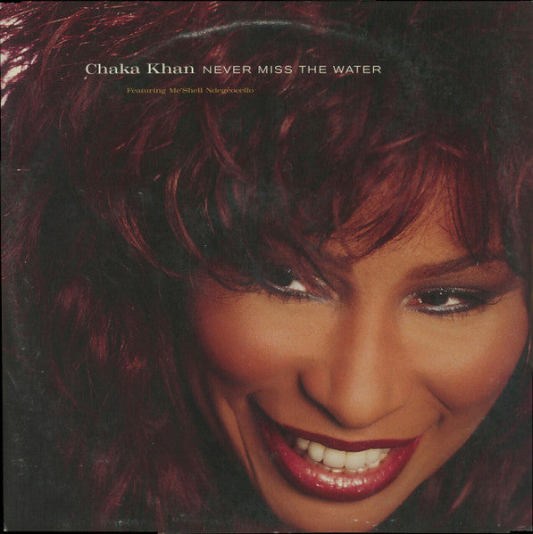 Chaka Khan Featuring Me'Shell NdegéOcello – Never Miss The Water (12inch)