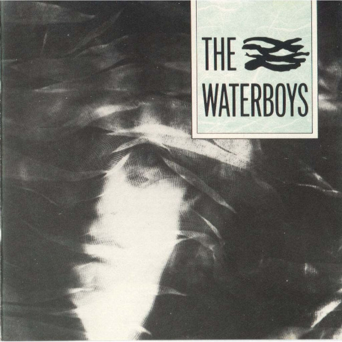 The Waterboys - The Waterboys (NEW) - Dear Vinyl