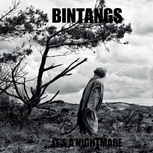 Bintangs - It's a nightmare (NEW)