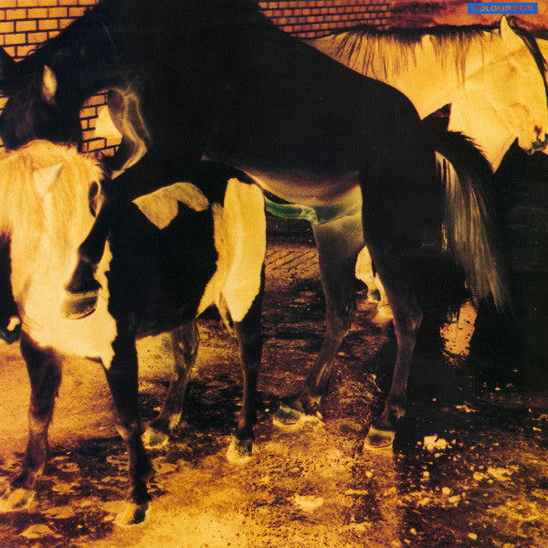 Colour Box - Colour Box