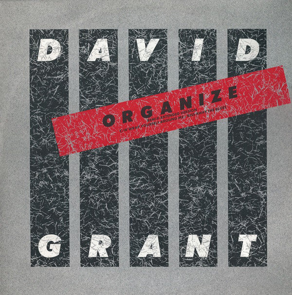 David Grant - Organize (12inch)