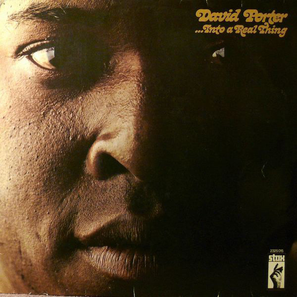 David Porter - Into a real thing