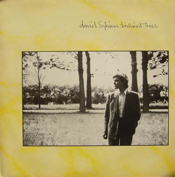 David Sylvian - Brilliant trees - Dear Vinyl