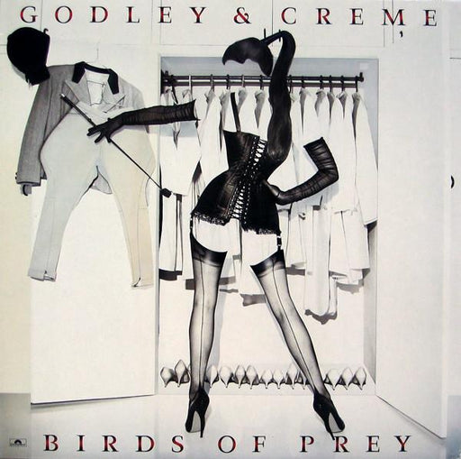 Godley & Creme - Birds of Prey - Dear Vinyl
