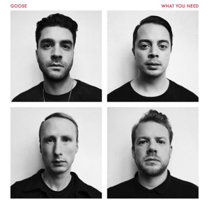 Goose - What you need (NEW)