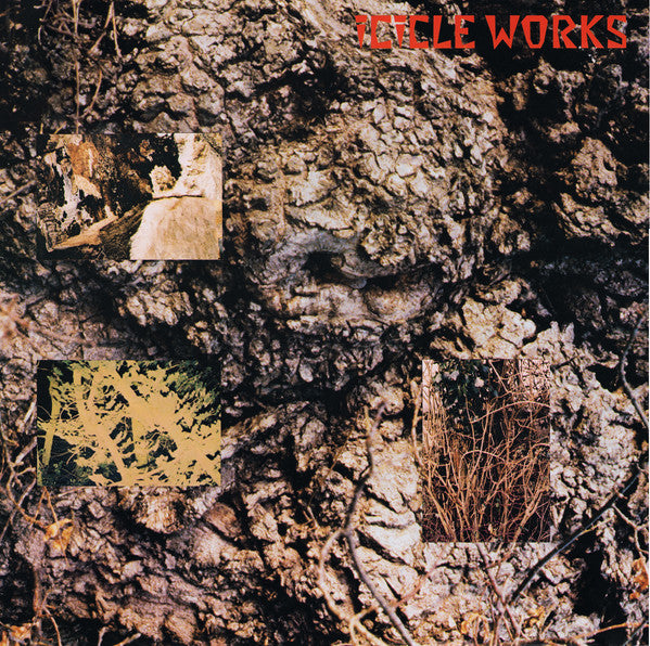 The Icicle works - Icicle works