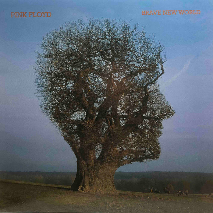 Pink Floyd - Brave new world (Pink coloured-Near Mint)