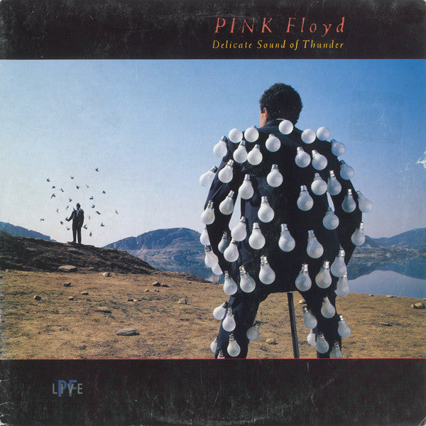 Pink Floyd - Delicate sound of Tunder (2LP)