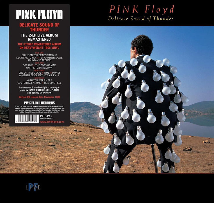 Pink Floyd - Delicate Sound of Thunder (2LP-NEW)