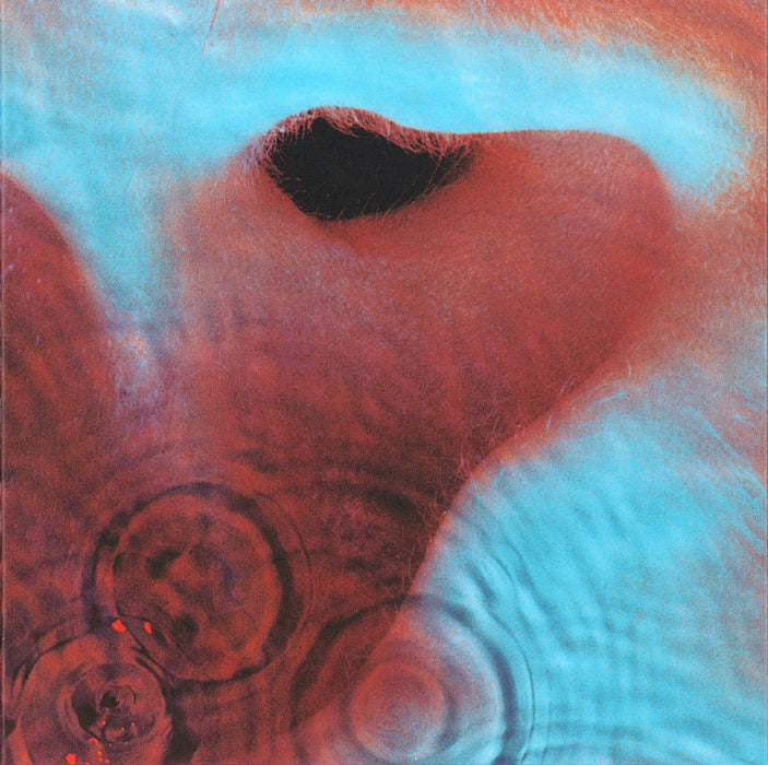 Pink Floyd - Meddle (Italy pressing-1971)