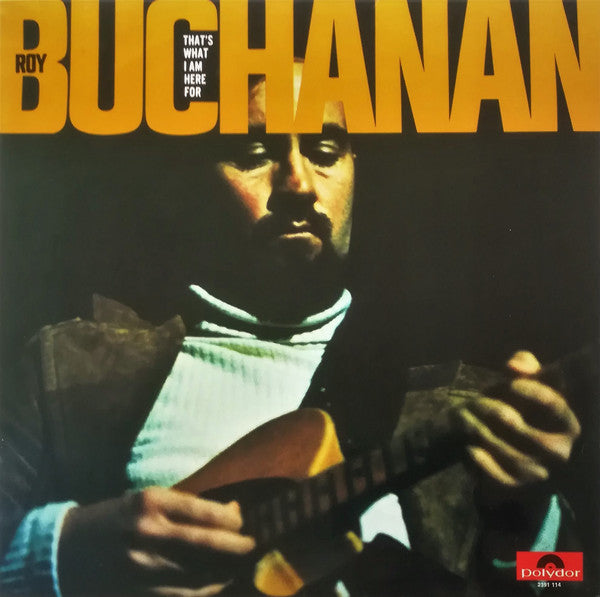 Roy Buchanan - That's why I am here for