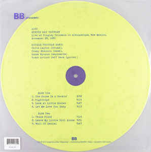 Stevie Ray Vaughan - Live at Tingley Coliseum in Albuquerque, New Mexico, November 28, 1989 - Dear Vinyl