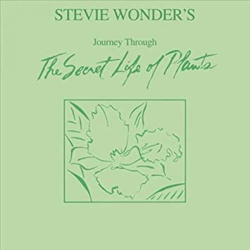 Stevie Wonder - Journey through the secret life of plants (2LP) - Dear Vinyl