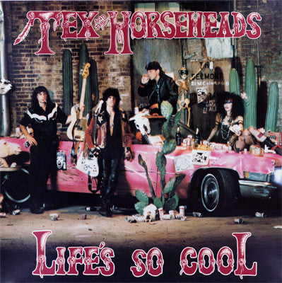 Tex & The Horseheads - Life's so cool