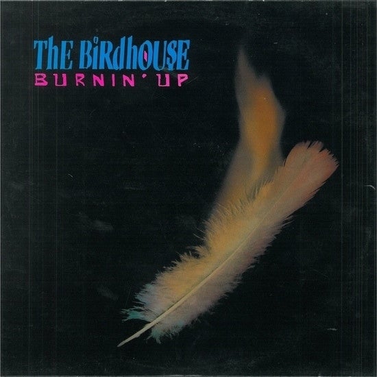 The Birdhouse - Burning Up